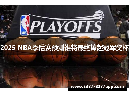 2025 NBA季后赛预测谁将最终捧起冠军奖杯