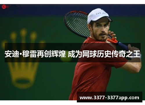 安迪·穆雷再创辉煌 成为网球历史传奇之王 安迪·穆雷再创辉煌 成为网球历史传奇之王