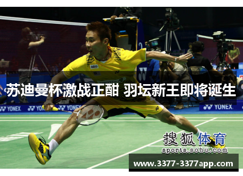 苏迪曼杯激战正酣 羽坛新王即将诞生 苏迪曼杯激战正酣 羽坛新王即将诞生